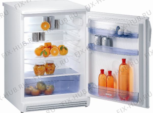 Холодильник Gorenje R6168W (232079, HS1666) - Фото